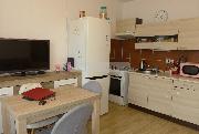 Prodej prostorn�ho bytu 1+1 po rekonstrukci v Plzni na Lochot�n�