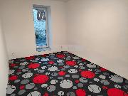 Pronjem bytu 2+1 se zahrdkou a parkovacm stnm v Sedlci, v sti msta Star Plzenec