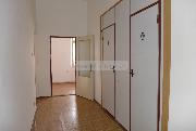 Pron�jem prostorn�ho cihlov�ho bytu 1+1 s komorou v �ir��m centru Plzn�