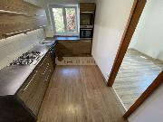 Pron�jem slunn�ho bytu 3+1+B po rekonstrukci, Plze� - Slovany
