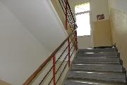 Pron�jem �tuln�ho cihlov�ho bytu 2+kk se zahradou v Plzni na Borech!