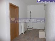 Pron�jem za��zen�ho bytu 2+kk s balkonem a parkovac�m st�n�m v Plzni na Sylv�nu