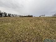 Prodej pole v obci Libecina