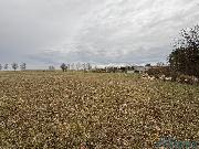 Prodej pole v obci Libecina