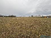 Prodej pole v obci Libecina