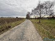 Prodej pole v obci Libecina