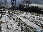 Prodej pozemku 824 m2 v Chocni