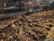 Prodej p�vodn� chalupy ve Sloupnici