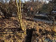 Prodej p�vodn� chalupy ve Sloupnici