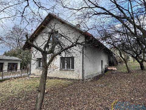 Obr�zek nen� k dispozici.