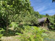 Prodej stavebn�ho pozemku / chaty ve Vysok�m M�t� - Vinic�ch