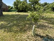 Prodej stavebnho pozemku 1473 m2 v Mentouru