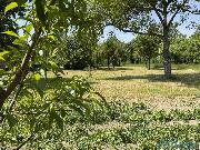 Prodej stavebnho pozemku 1473 m2 v Mentouru