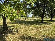 Prodej stavebnho pozemku 1473 m2 v Mentouru