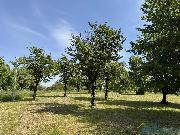 Prodej stavebnho pozemku 1473 m2 v Mentouru