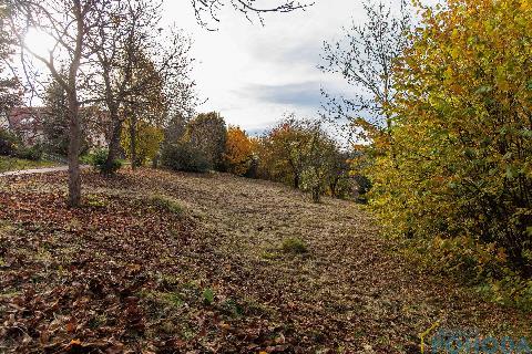 Obrázek není k dispozici.