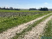 Prodej stavebnho pozemku o vme 1713 m2 v Chotinch