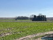 Prodej stavebnho pozemku o vme 1713 m2 v Chotinch