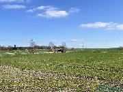 Prodej stavebnho pozemku o vme 1713 m2 v Chotinch