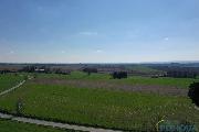 Prodej stavebnho pozemku o vme 1713 m2 v Chotinch