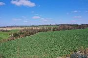 Prodej stavebnho pozemku o vme 1713 m2 v Chotinch