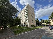 Pronjem bytu 2+1 st nad Orlic