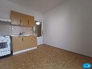 Pron�jem kr�sn�ho bytu 1+1, 48 m2, balk�n, Vysok� M�to