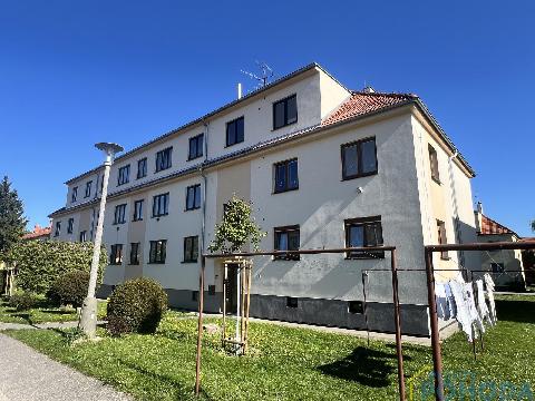 Obr�zek nen� k dispozici.