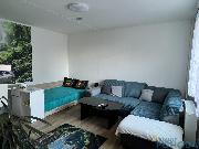 Pron�jem velk�ho bytu 2+1, 63 m2, lod�ie, V�trn� Vysok� M�to