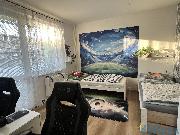 Pron�jem velk�ho bytu 2+1, 63 m2, lod�ie, V�trn� Vysok� M�to