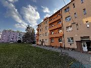 Pron�jen bytu 1+1 Choce�