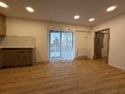 Pron�jem luxusn� zrekonstruovan�ho nebyt. prostoru ve vile Anna ul. B�lehradsk�, �st� nad Labem