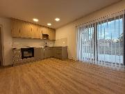 Pron�jem luxusn� zrekonstruovan�ho nebyt. prostoru ve vile Anna ul. B�lehradsk�, �st� nad Labem