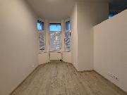 Pronjem nov zrekonstruovanho bytu 1kk v rezidenn vile se zahradou