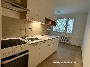 Pron�jem nov� zrekonstruovan�ho bytu 2+1 v ul. Tolst�ho, �st� nad Labem