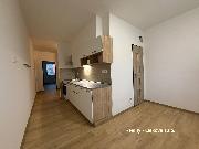 Pron�jem nov� zrekonstruovan�ho bytu 2+1 v ul. Tolst�ho, �st� nad Labem