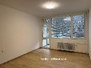 Pron�jem nov� zrekonstruovan�ho bytu 2+1 v ul. Tolst�ho, �st� nad Labem