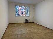 Pron�jem nov� zrekonstruovan�ho bytu 2+1 v ul. Tolst�ho, �st� nad Labem