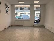 Pron�jem obchodn�ch prostor v D���n�