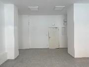 Pron�jem obchodn�ch prostor v D���n�