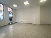 Pron�jem obchodn�ch prostor v D���n�