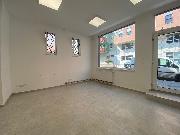 Pron�jem obchodn�ch prostor v D���n�