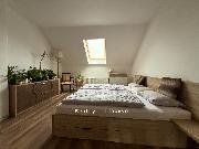 Pron�jem rekonstruovan�ho bytu 2+1 v ul. Opletalova, �st� nad Labem - Ne�t�mice