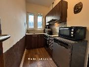 Pron�jem rekonstruovan�ho bytu 2+1 v ul. Opletalova, �st� nad Labem - Ne�t�mice