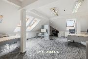 Reprezentativn� vila jako s�dlo spole�nosti, kancel��e nebo zdravotnick� slu�by � �st� nad Labem