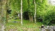 Stavebn� pozemek 770 m2 u lesa