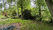 Stavebn� pozemek 770 m2 u lesa