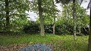 Stavebn� pozemek 770 m2 u lesa
