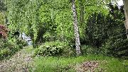 Stavebn� pozemek 770 m2 u lesa