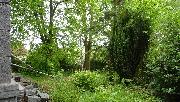 Stavebn� pozemek 770 m2 u lesa